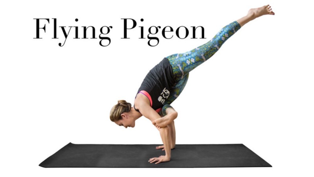 flying_pigeon